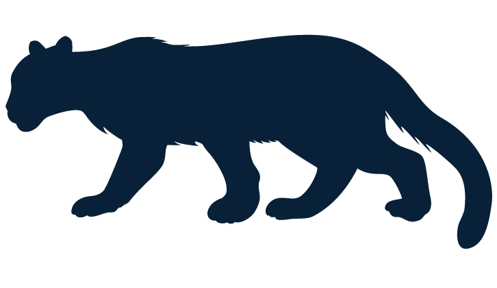 dark navy panther | Lost Jewel Of Zanzibar